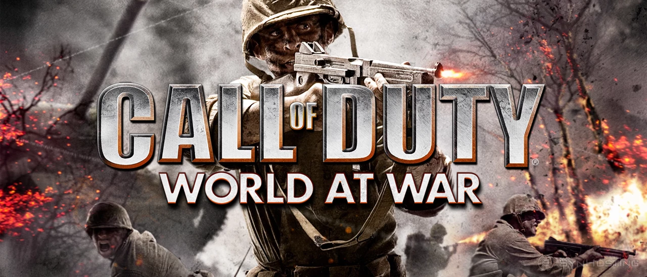 Call of Duty: World at War server