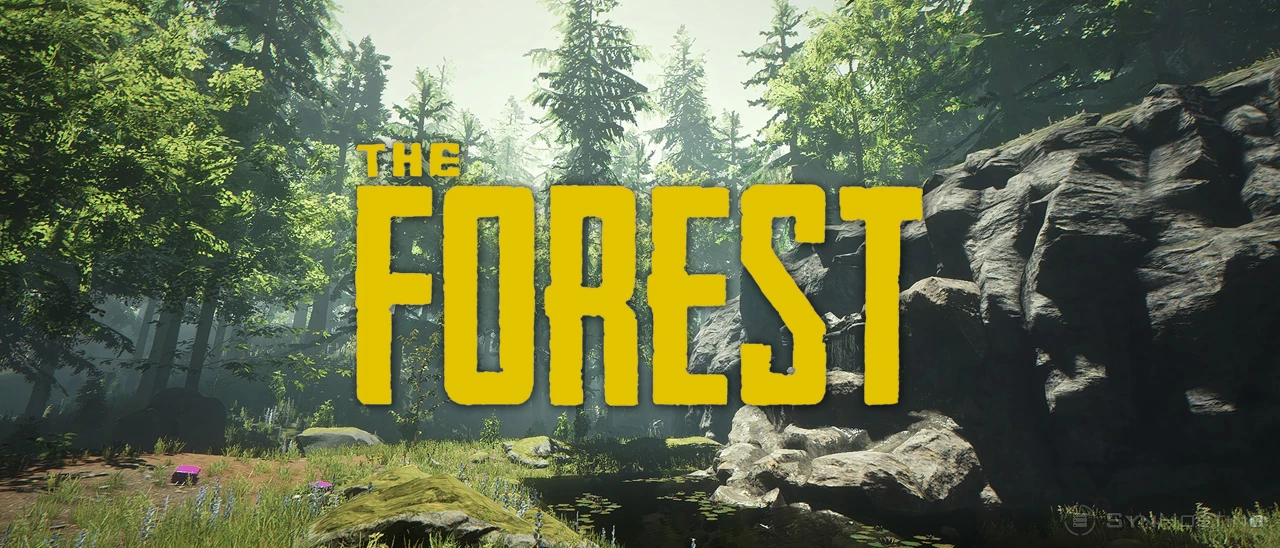 The Forest server